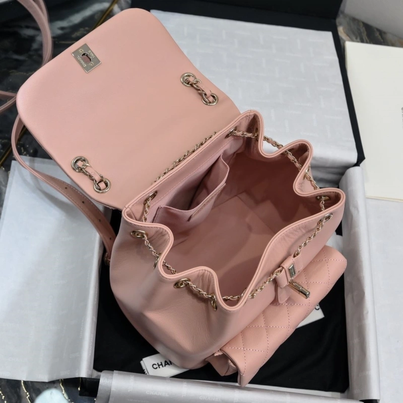 Chanel Backpacks 4017-2246