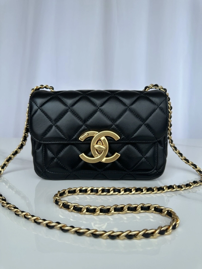 Chanel Satchel Bags 4017-2253