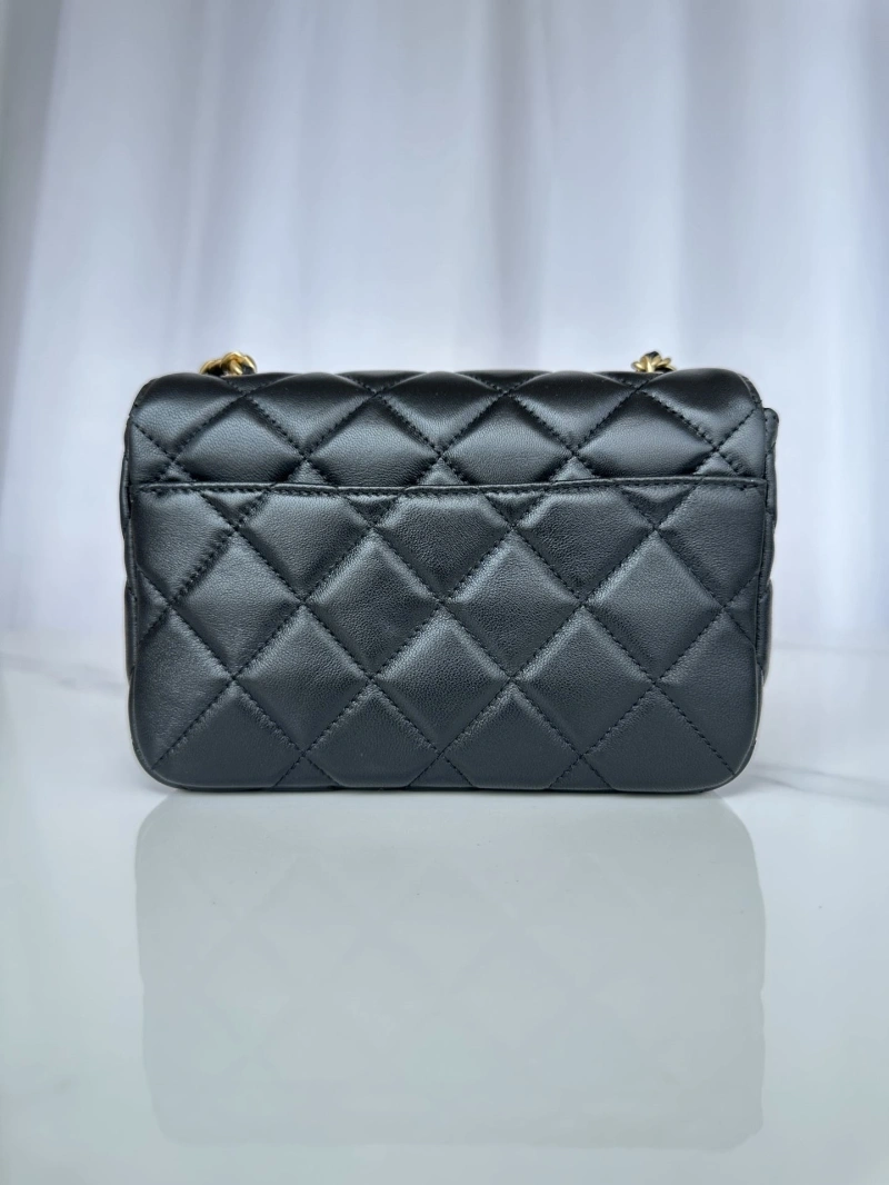 Chanel Satchel Bags 4017-2253