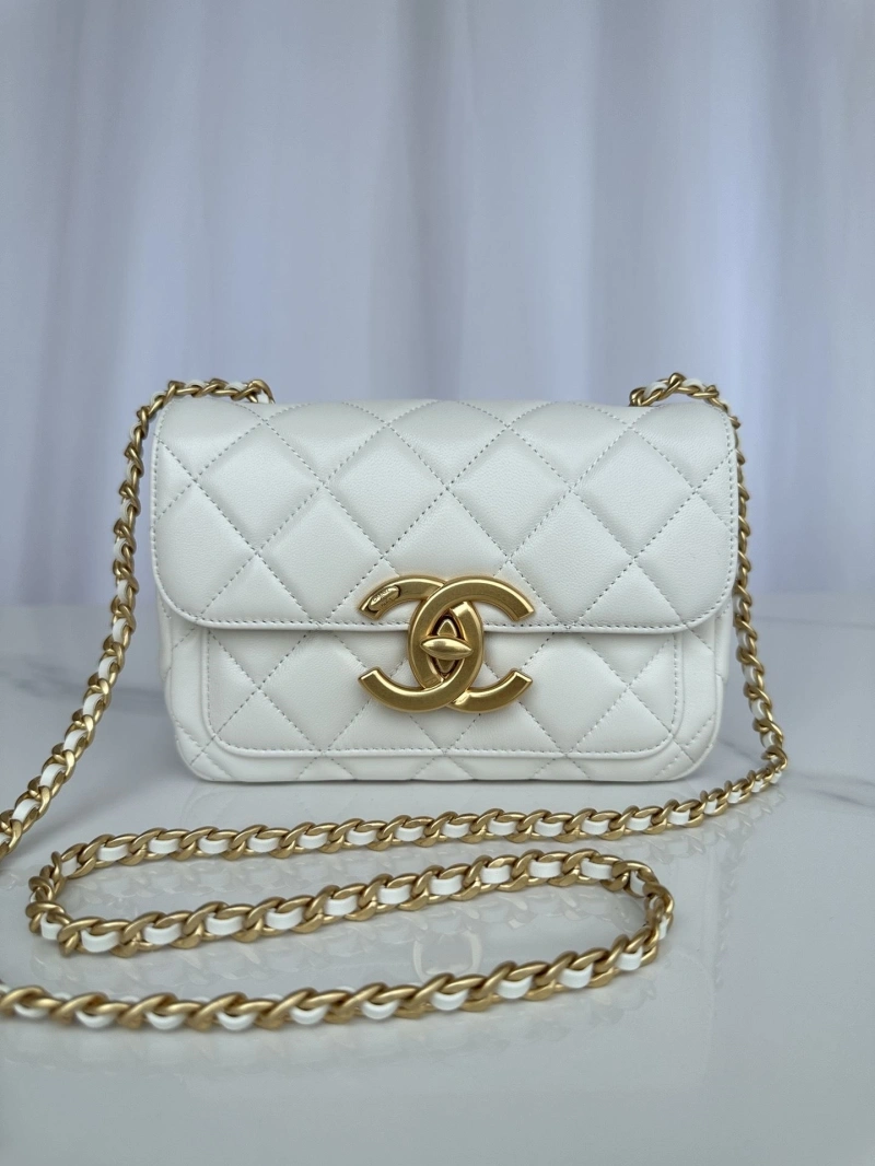 Chanel Satchel Bags 4017-2254
