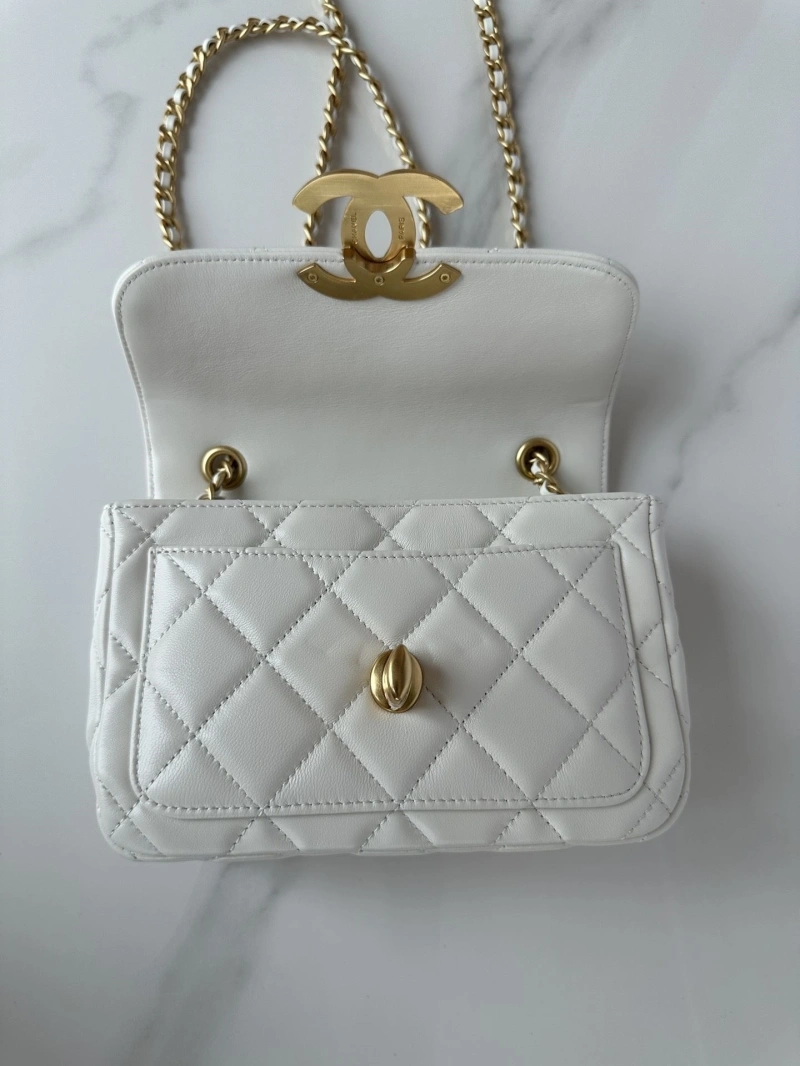 Chanel Satchel Bags 4017-2254