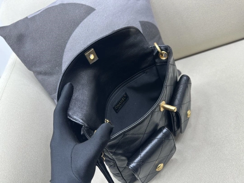 Chanel Satchel Bags 4017-2339