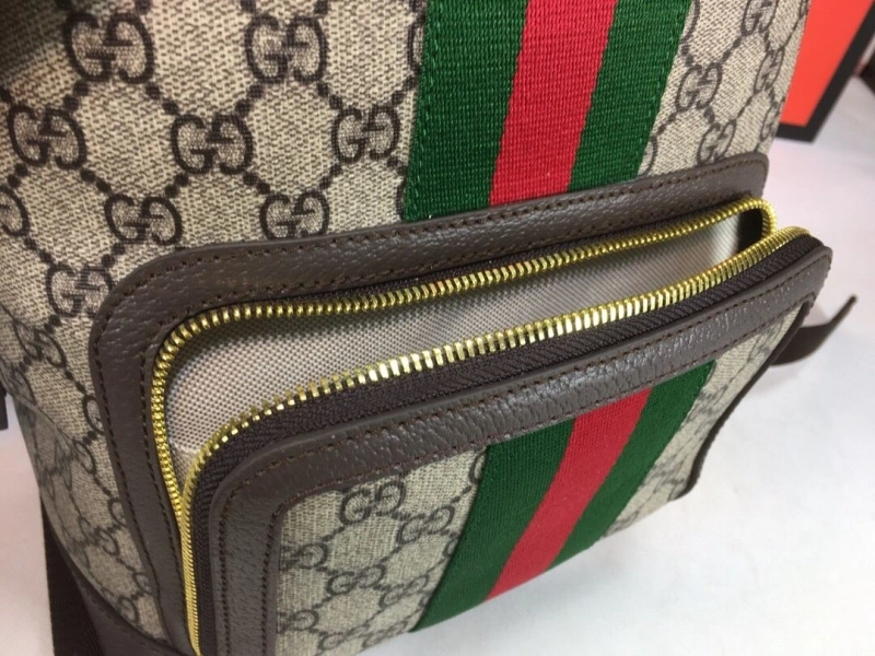 Gucci Backpacks 4032-1081