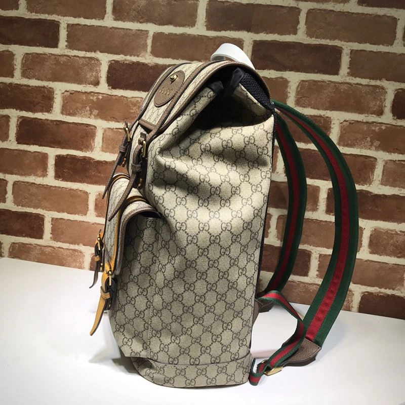 Gucci Backpacks 4033-0113