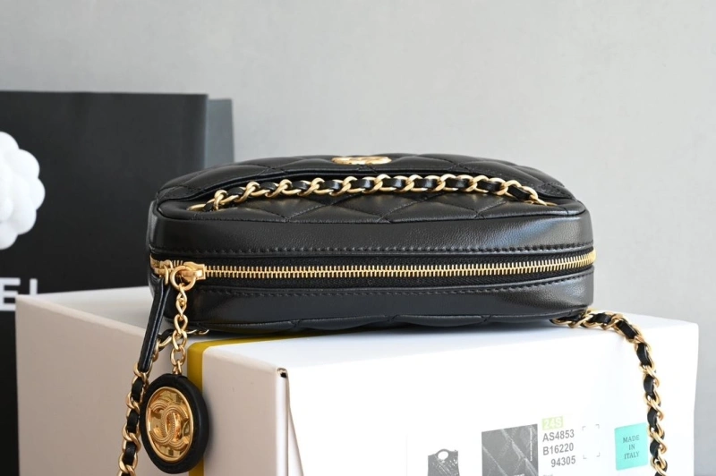 Chanel Satchel Bags 4035F-0014
