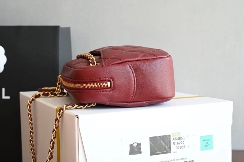 Chanel Satchel Bags 4035F-0015