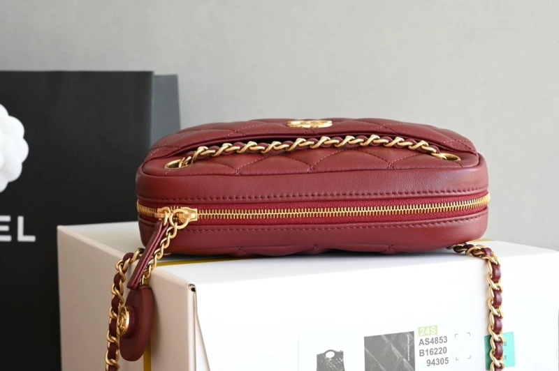 Chanel Satchel Bags 4035F-0015