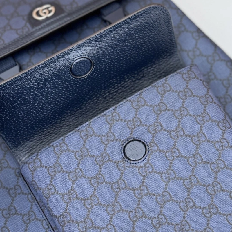 Gucci Backpacks 4036-0134