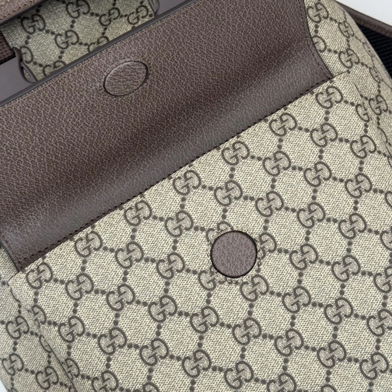 Gucci Backpacks 4036-0213