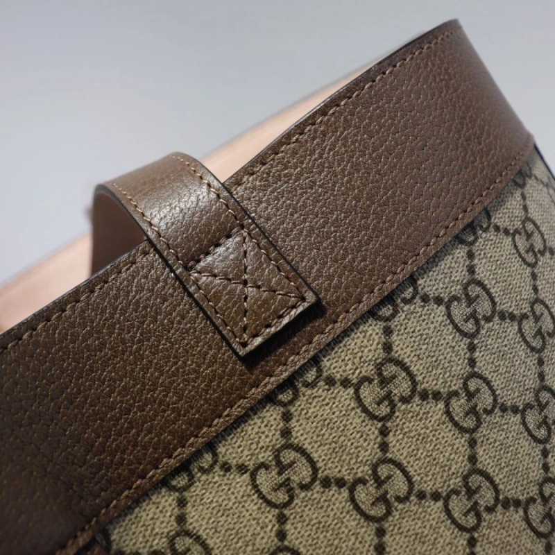 Gucci Shopping Bags 4036-0305