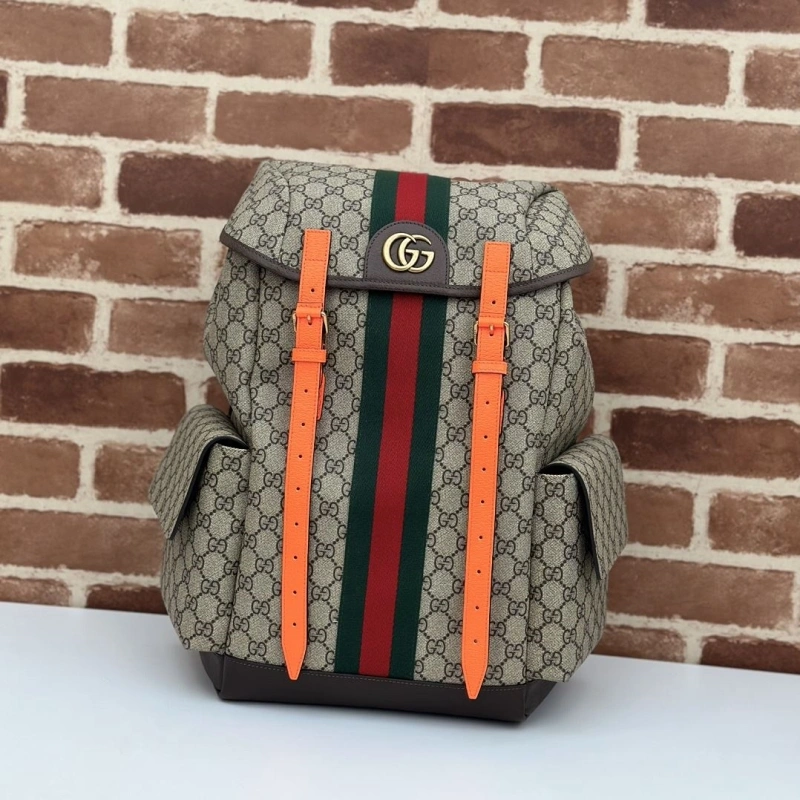 Gucci Backpacks 4036-0377