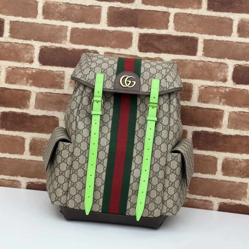 Gucci Backpacks 4036-0378
