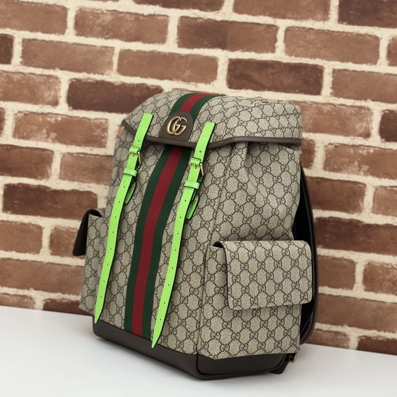 Gucci Backpacks 4036-0378