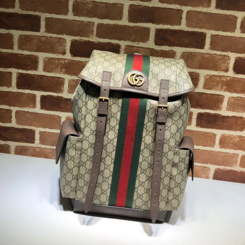 Gucci Backpacks 4036-0380
