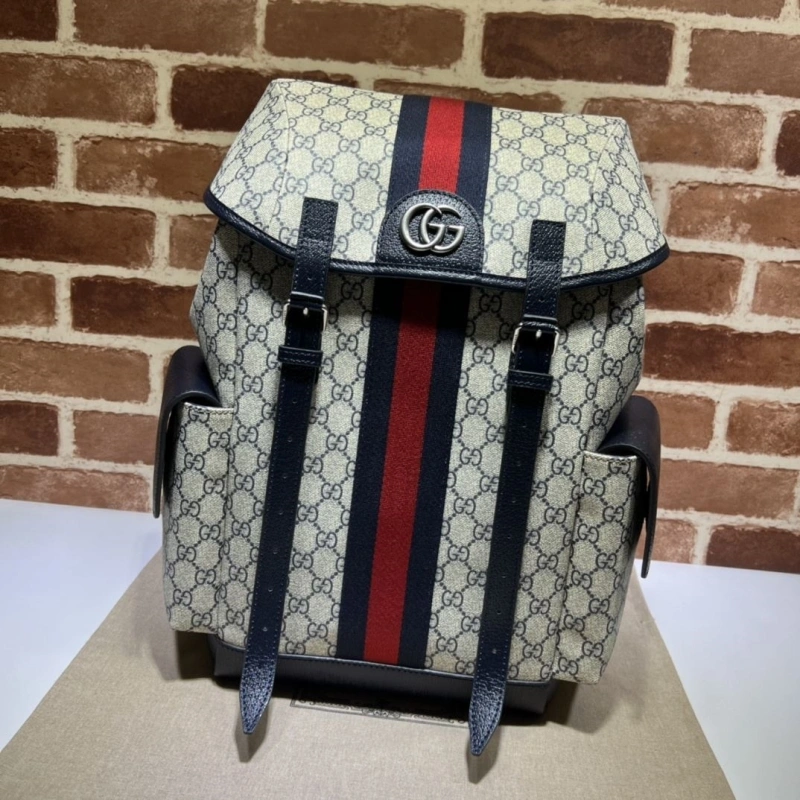 Gucci Backpacks 4036-0381