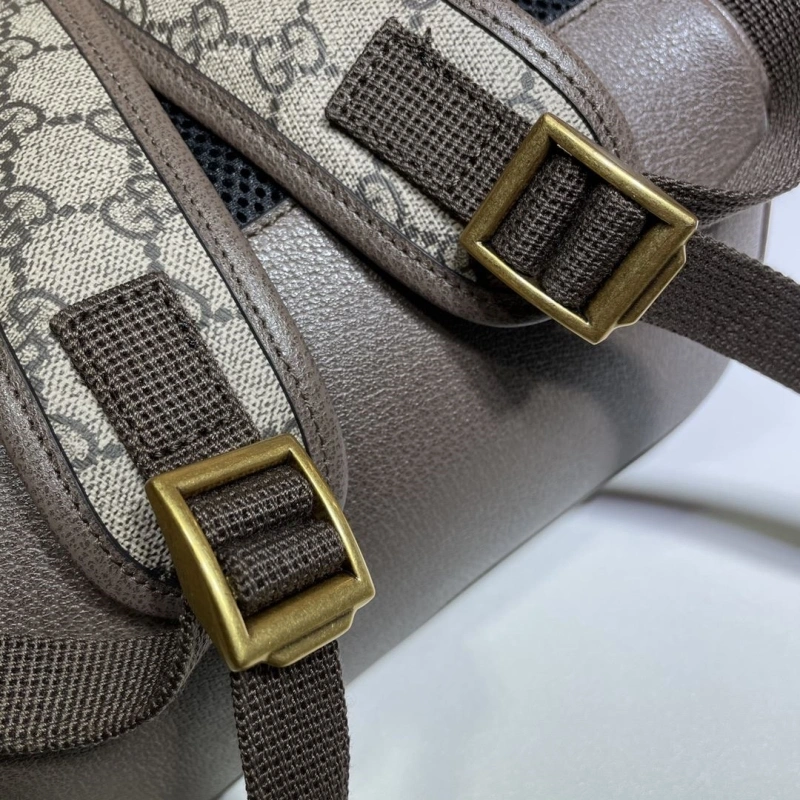 Gucci Backpacks 4036B-0116
