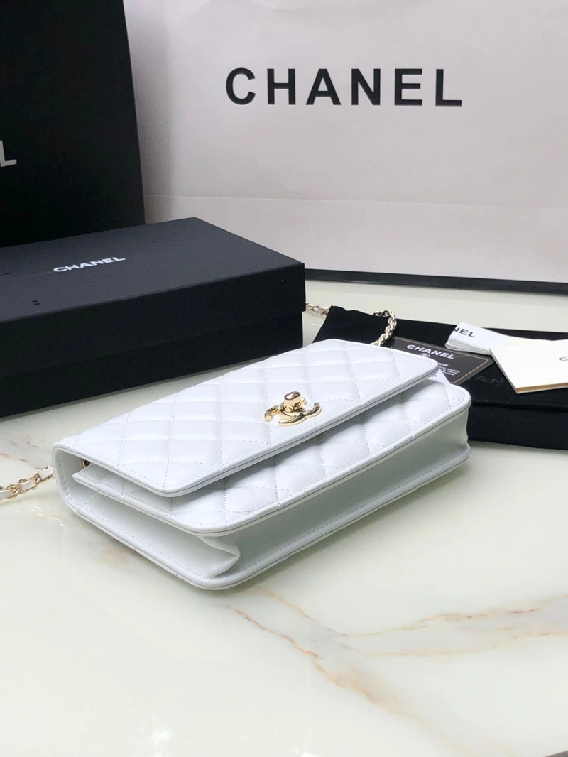 Chanel Satchel Bags 4046F-0151