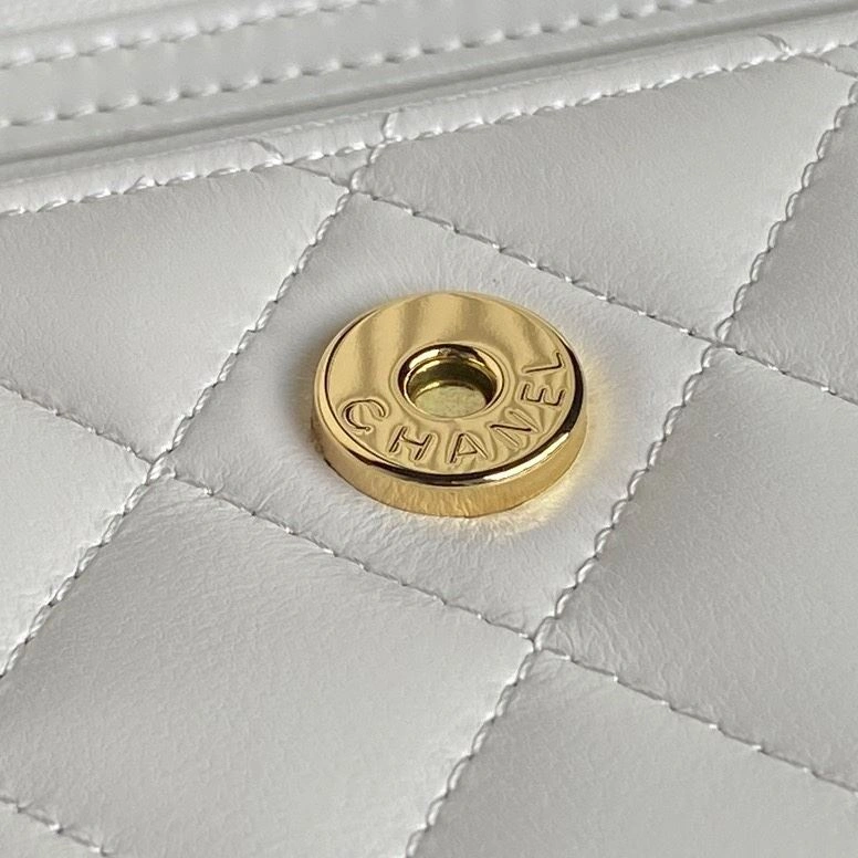 Chanel Satchel Bags 4046H-0011