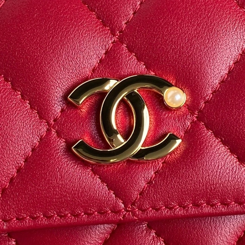 Chanel Satchel Bags 4046H-0013