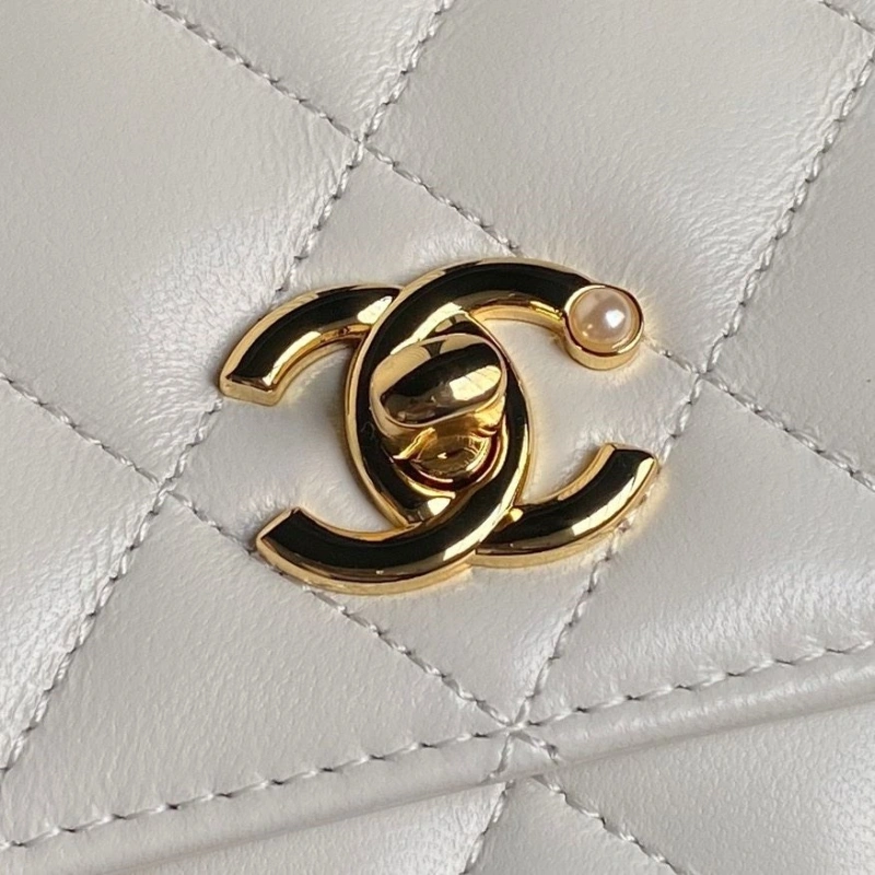 Chanel Satchel Bags 4046H-0016