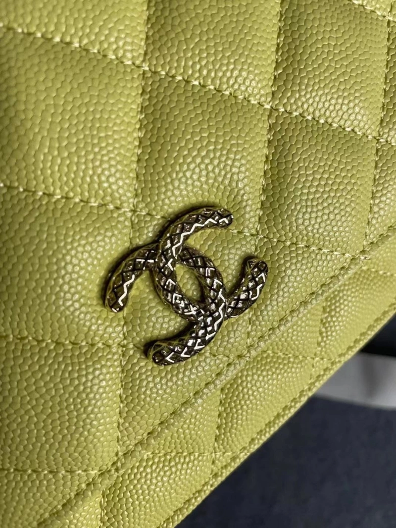 Chanel Satchel Bags 4046H-0166