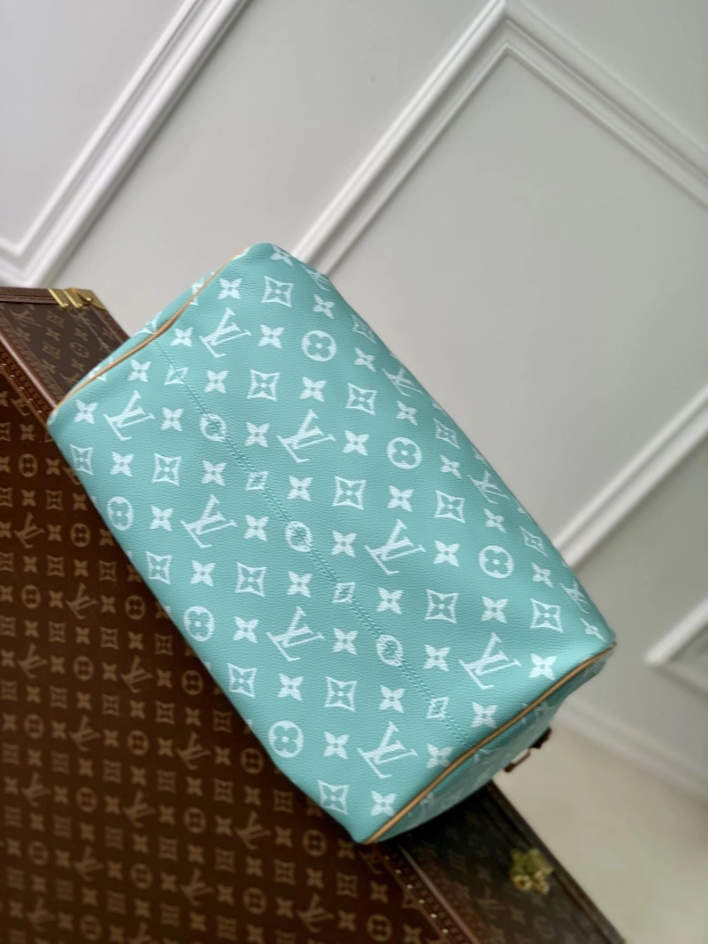 LV Speedy Bags 4048I-0165
