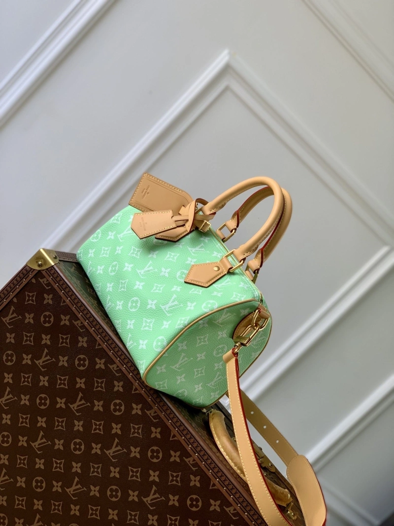 LV Speedy Bags 4048I-0343