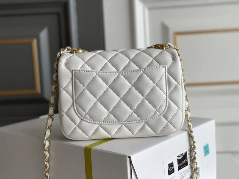 Chanel 19 Bags 4049C-0249