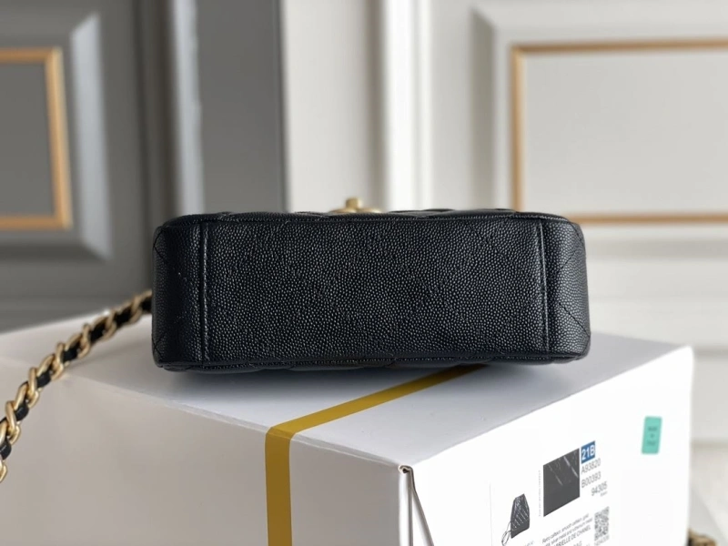 Chanel Satchel Bags 4049D-0036