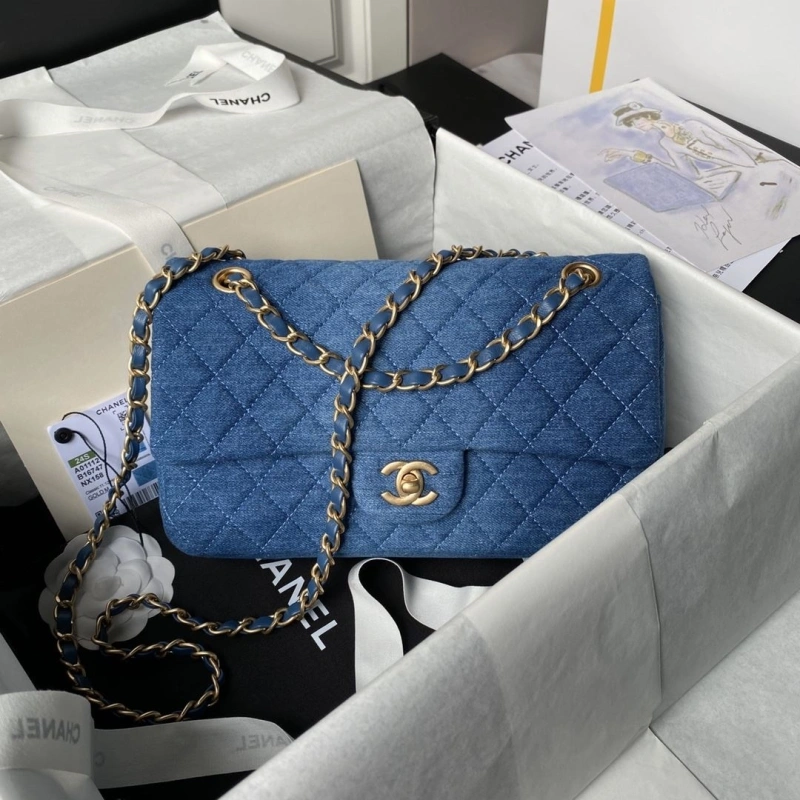 Chanel 19 Bags 4049D-0066