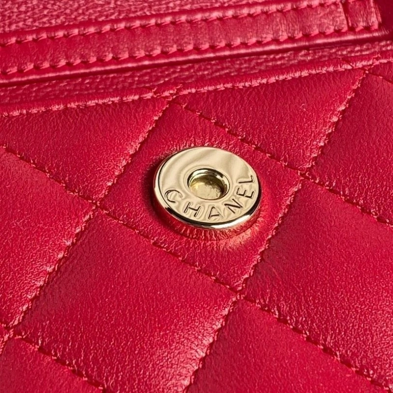 Chanel Satchel Bags 4049H-0055