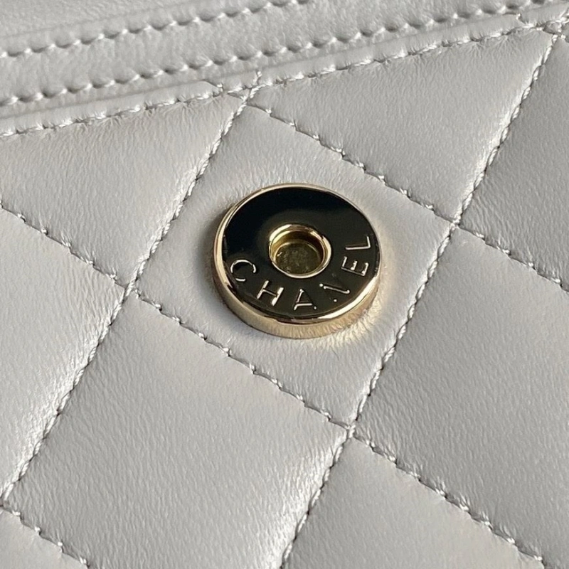 Chanel Satchel Bags 4049H-0056