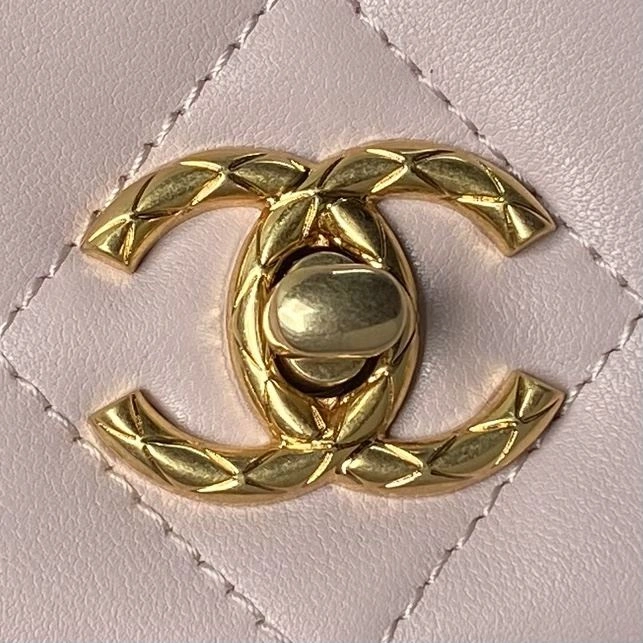 Chanel 19 Bags 4049H-0126