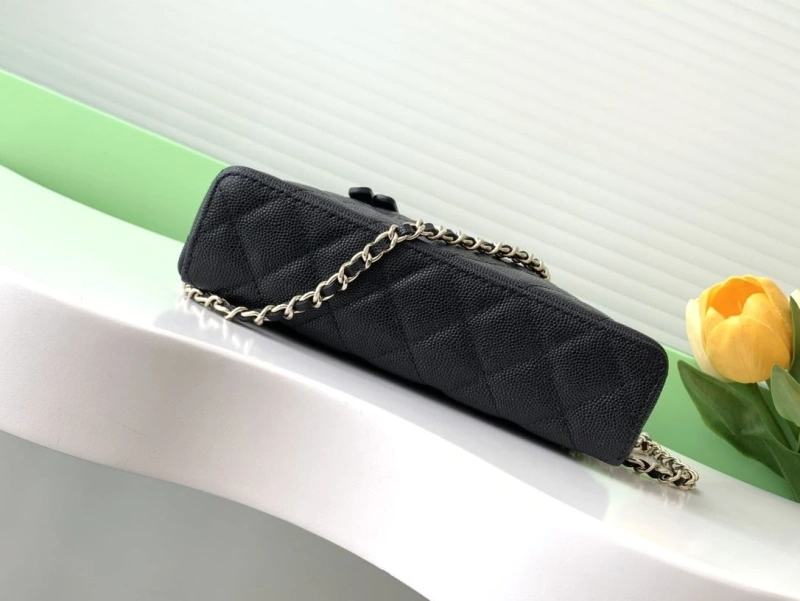 Chanel Cosmetic Bags 4049H-0256