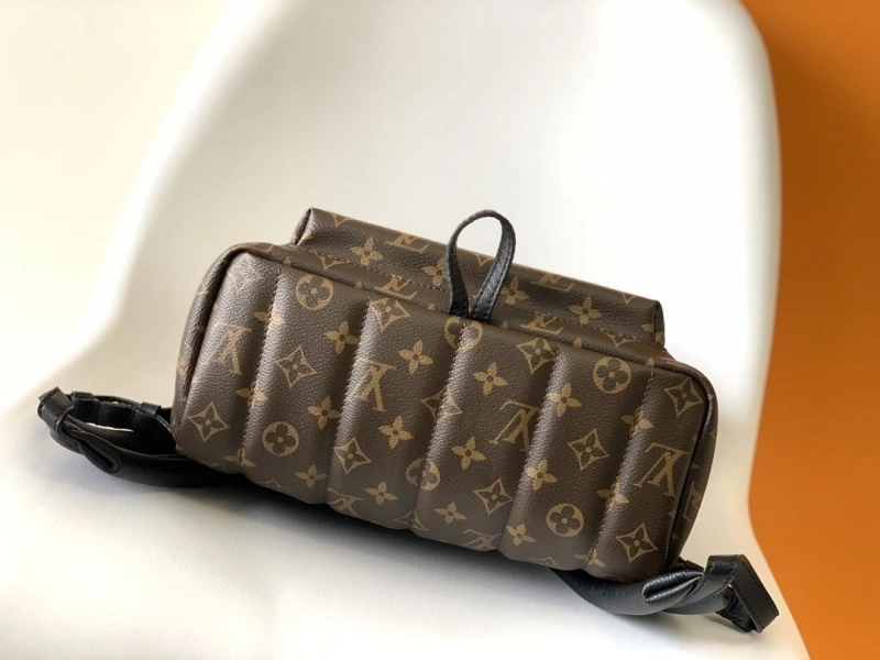 LV Backpacks 4056D-0299