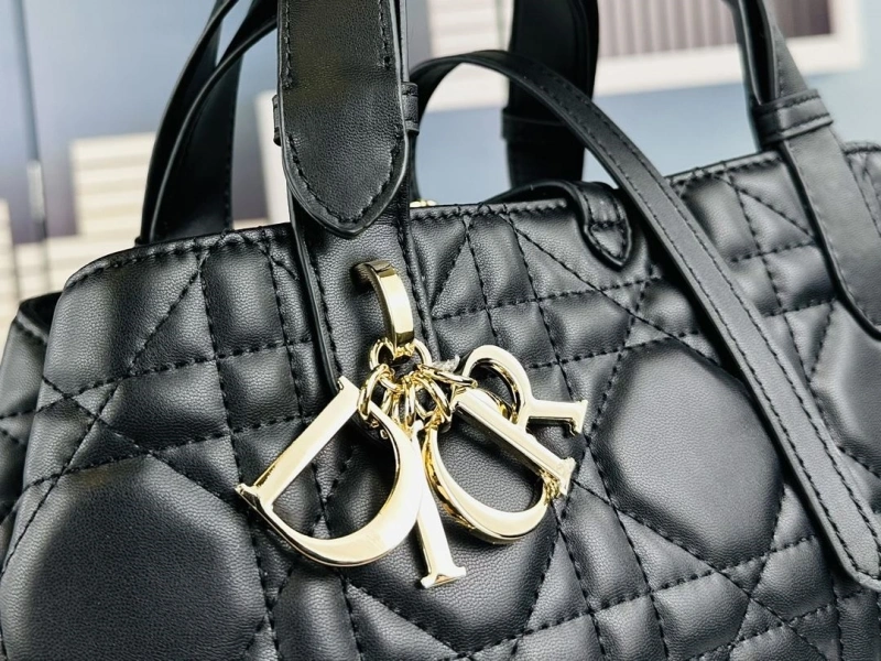 Dior Shopping Bags 4081B-1728