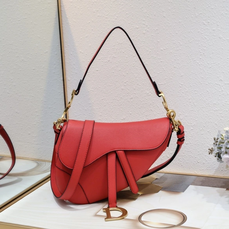 Dior Saddle Bags 4081B-2078