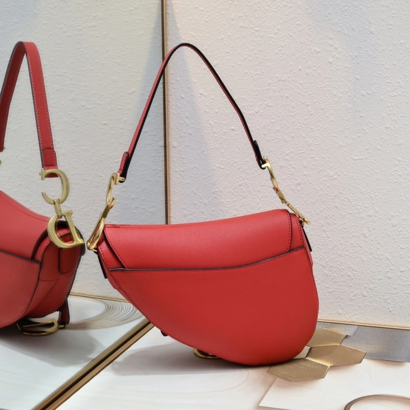 Dior Saddle Bags 4081B-2078