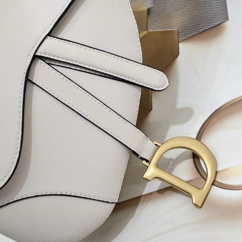 Dior Saddle Bags 4081B-2082