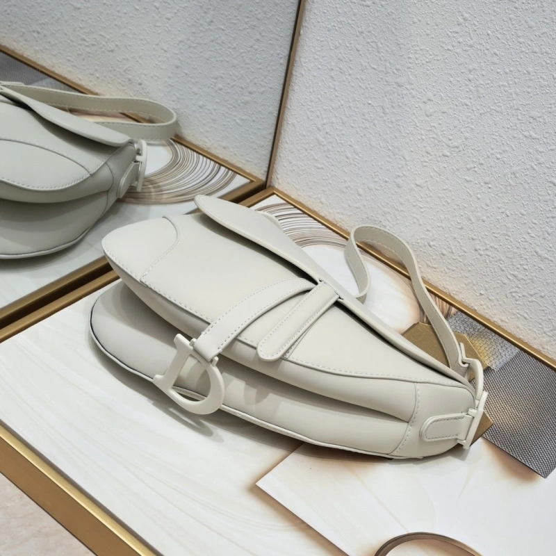 Dior Saddle Bags 4081B-2100