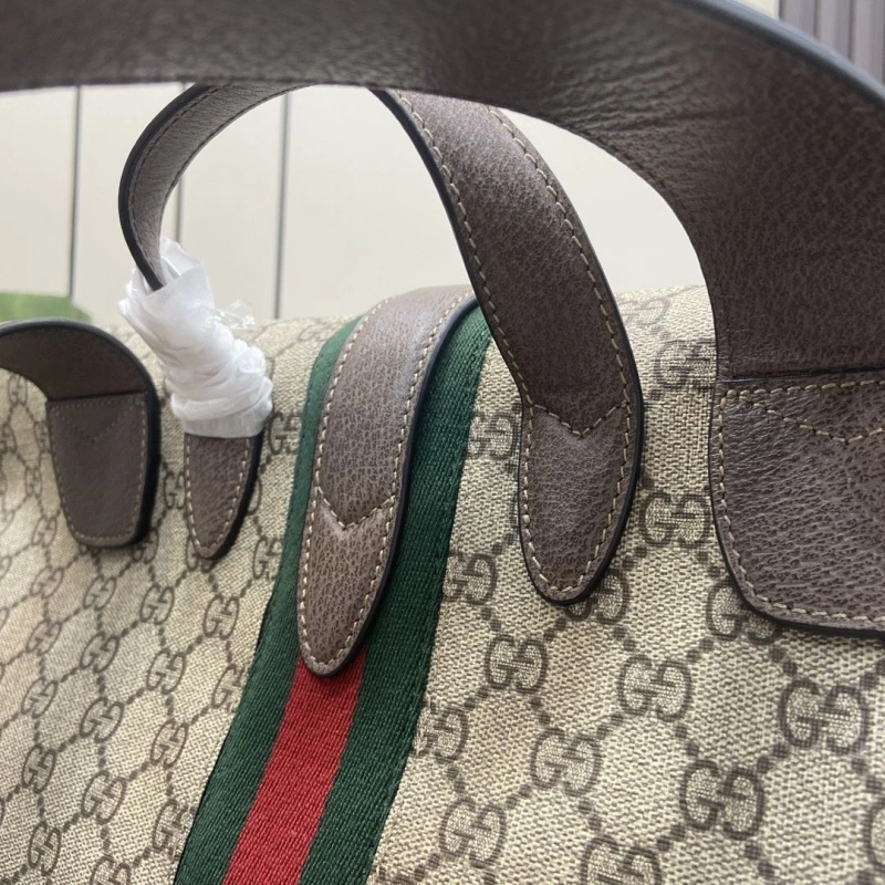 Gucci Backpacks 4094-0100