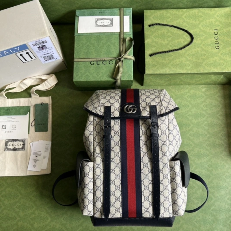 Gucci Backpacks 4094-0411