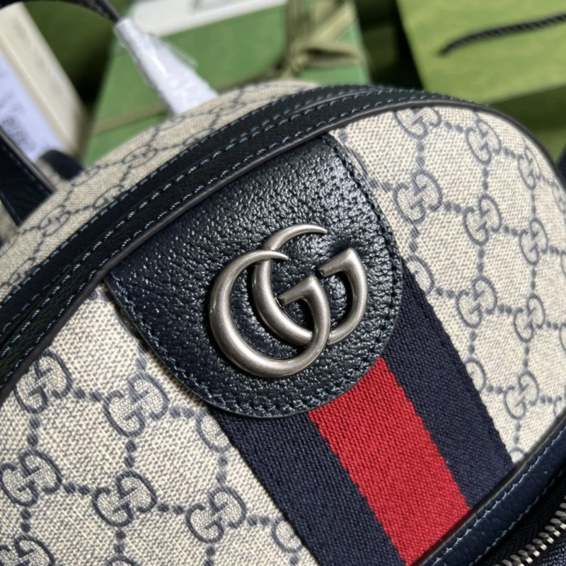 Gucci Backpacks 4094-0422