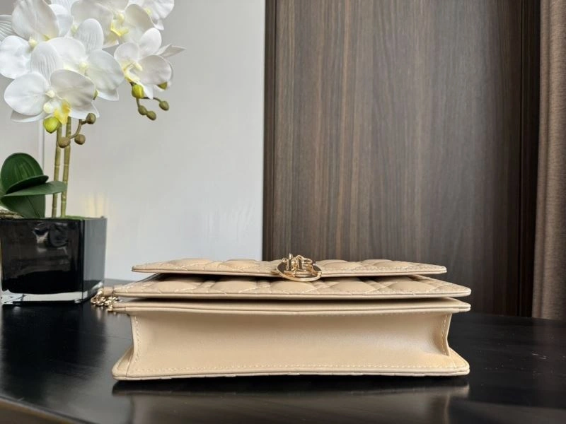 Dior Satchel bags 4180D-0451