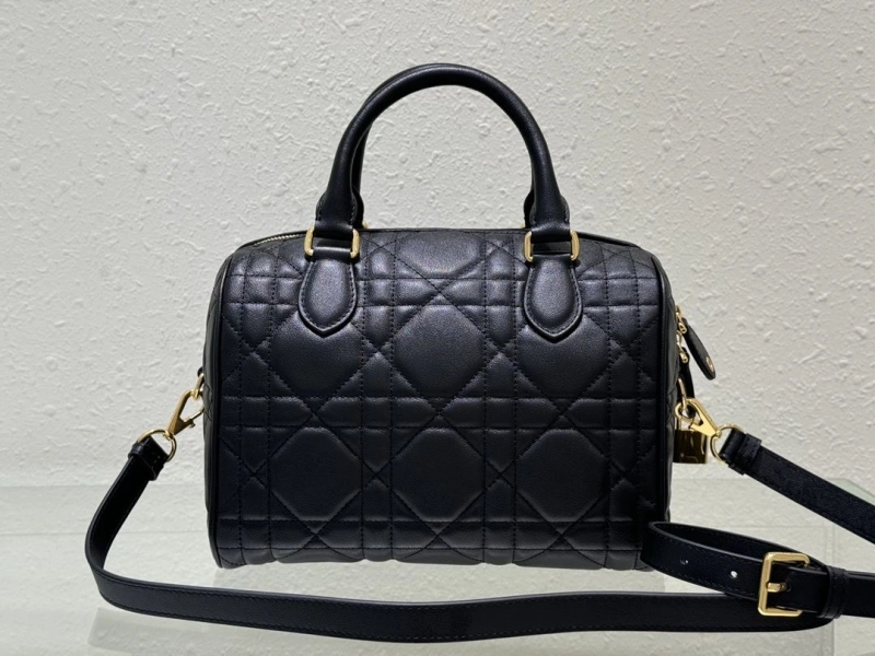 Dior Speedy Bags 4180F-0002