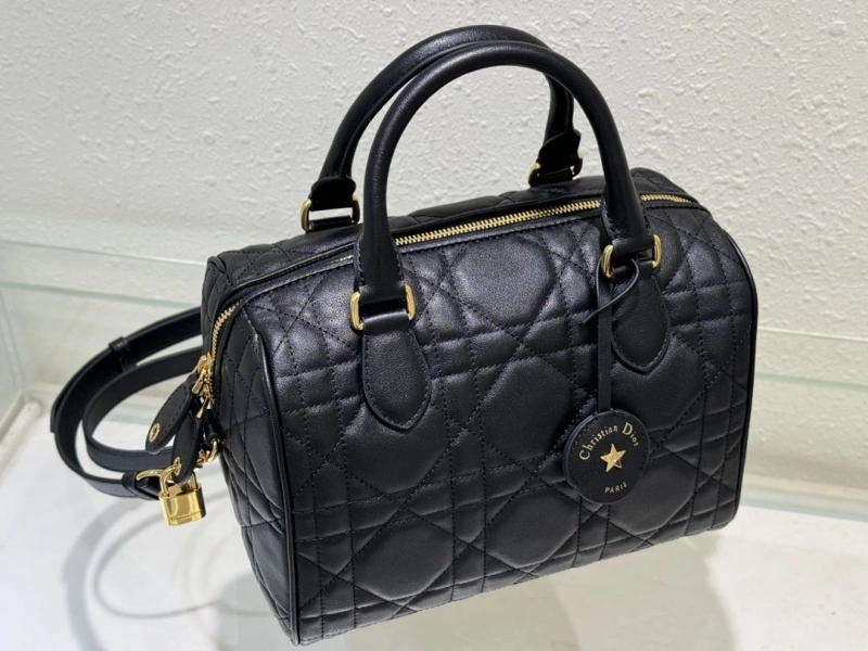 Dior Speedy Bags 4180F-0002