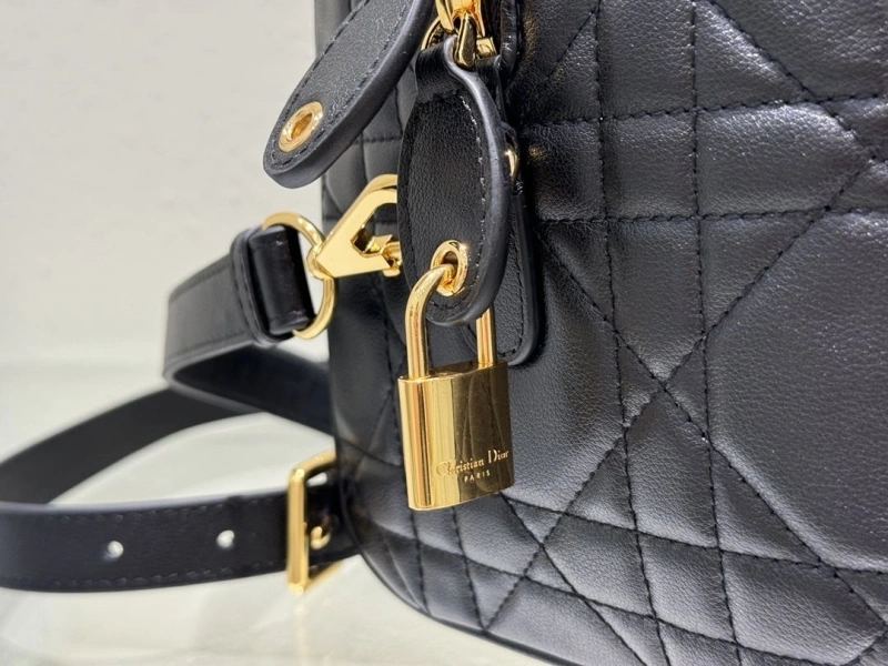 Dior Speedy Bags 4180F-0002