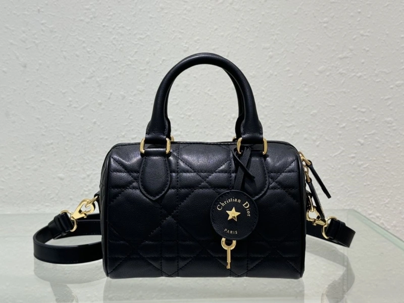 Dior Speedy Bags 4180F-0003