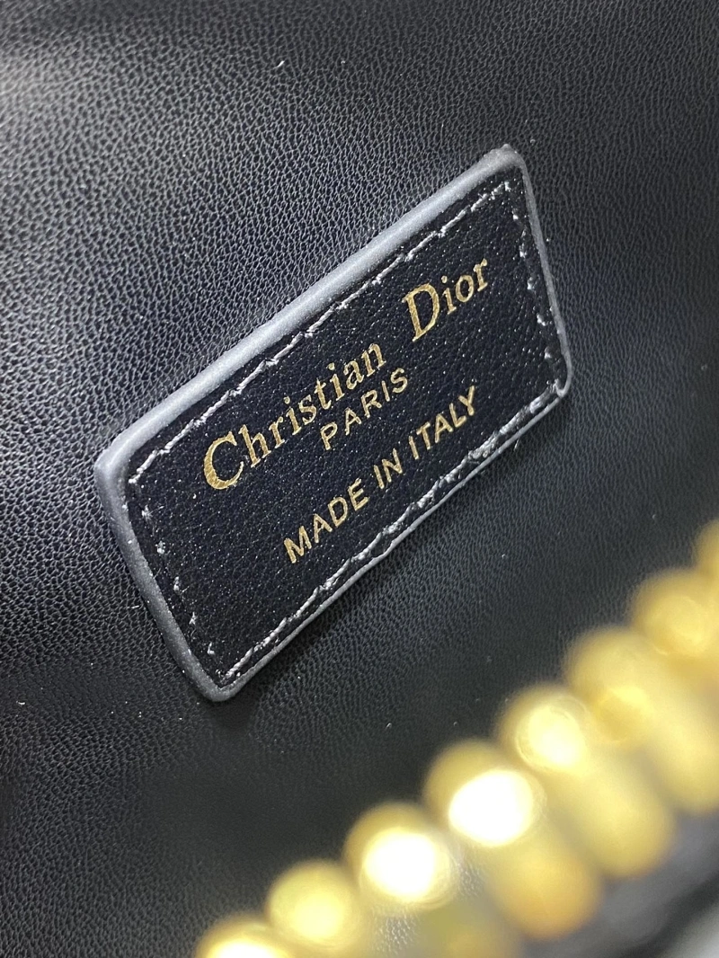 Dior Speedy Bags 4180F-0147