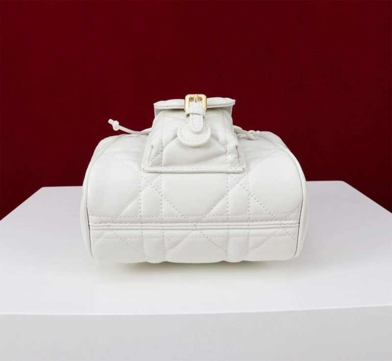 Dior Backpacks 4180F-0482